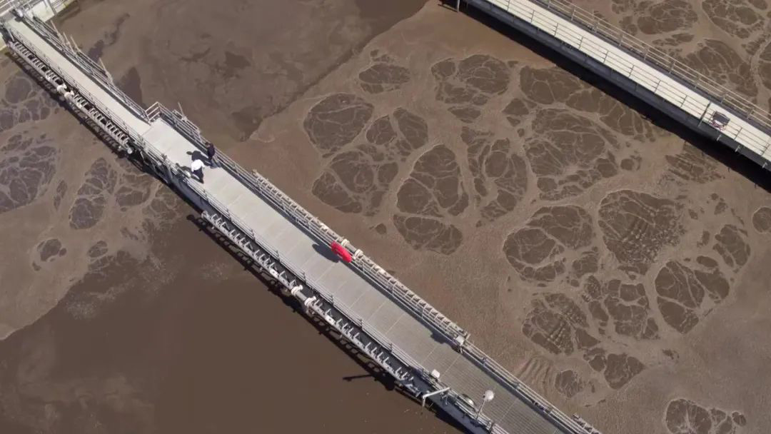 （圖：生活污水泡沫池）