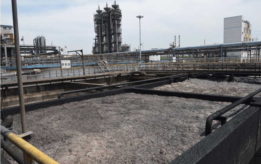 （圖：生化污水池起泡場景）