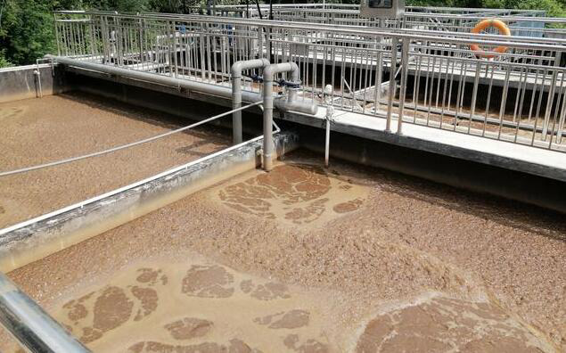 （圖：造紙紙漿廢水處理池起泡場(chǎng)景）