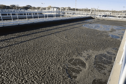 （微生物水處理消泡劑應用場景）