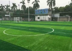 臺(tái)州人造草坪廠家